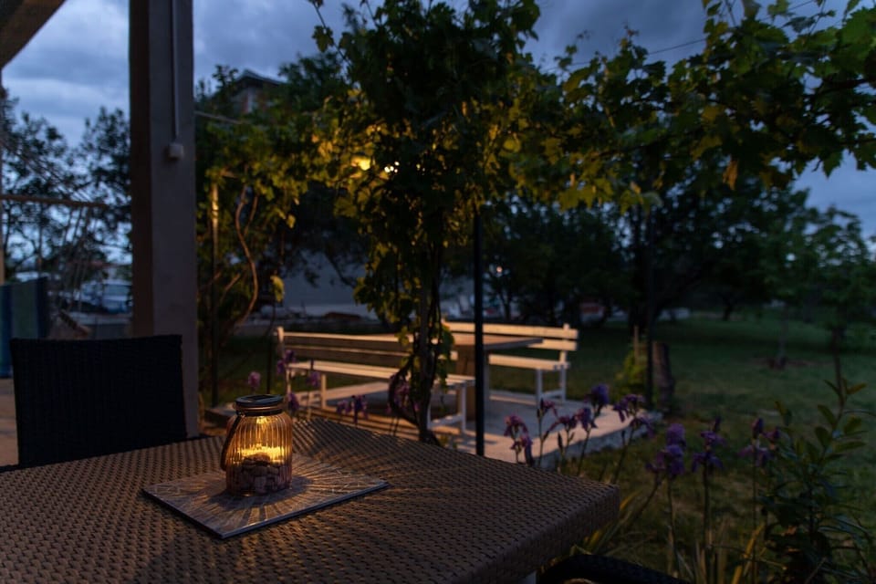 Garden [summer]