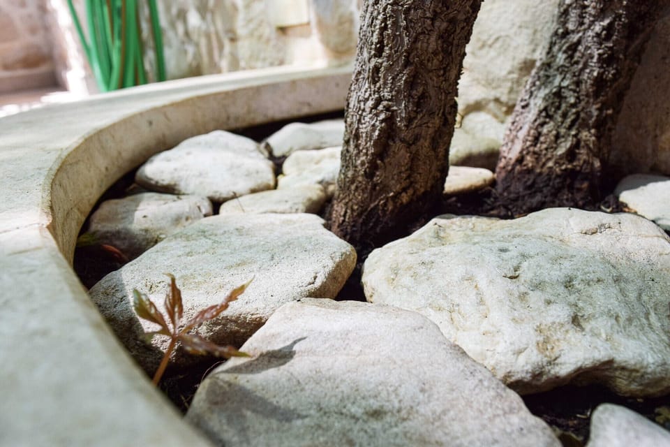 Garden [summer]