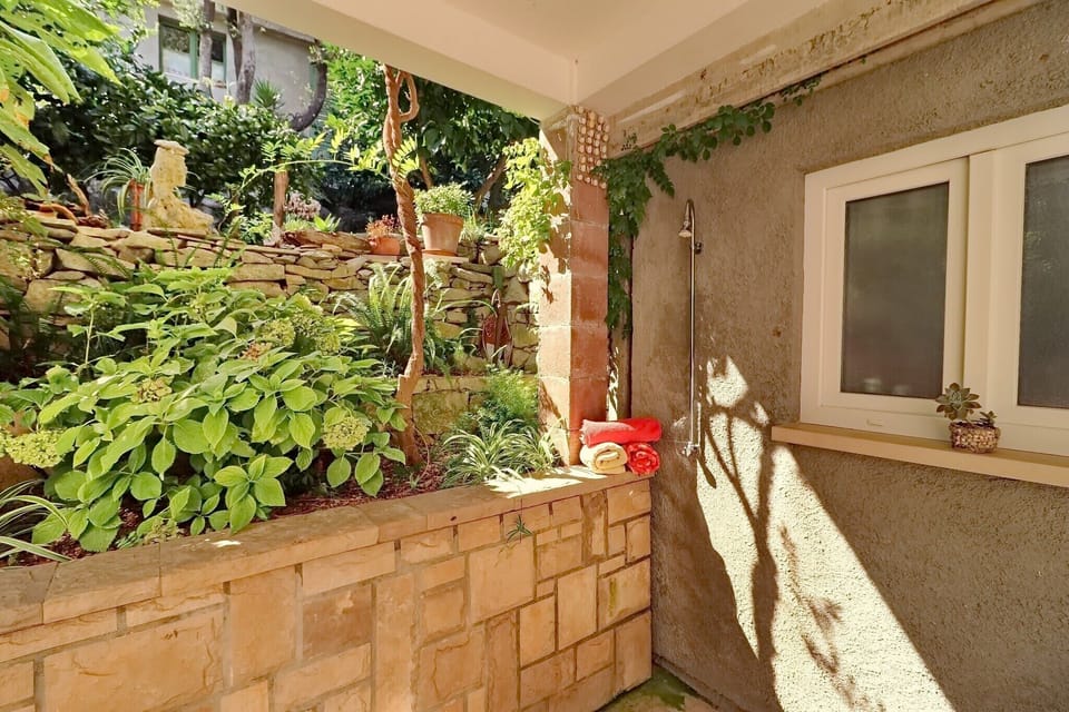 Garden [summer]
