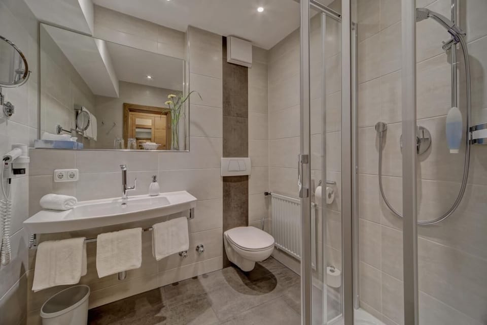 Deluxe Double Room | Bathroom | Separate tub and shower, hair dryer, bathrobes, slippers