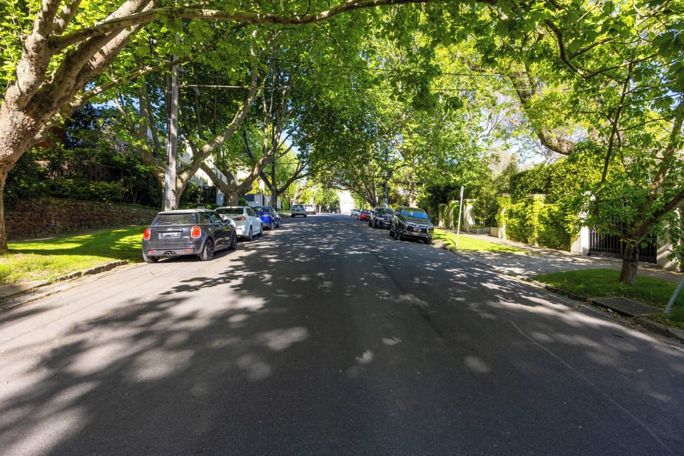Leafy street