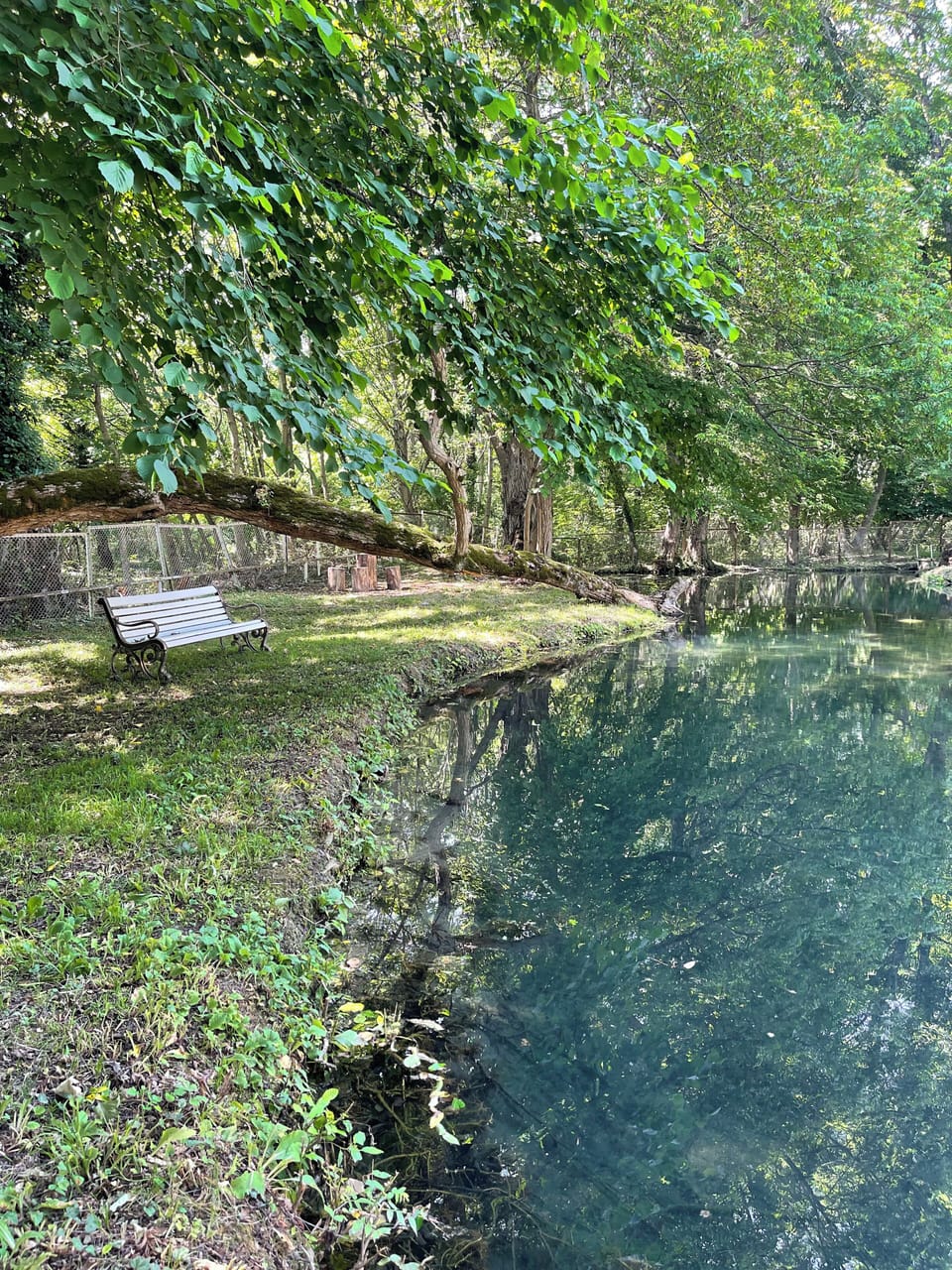 Lake