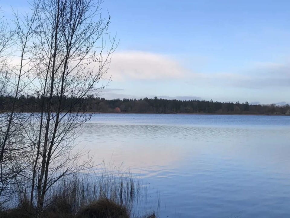 House | Water view