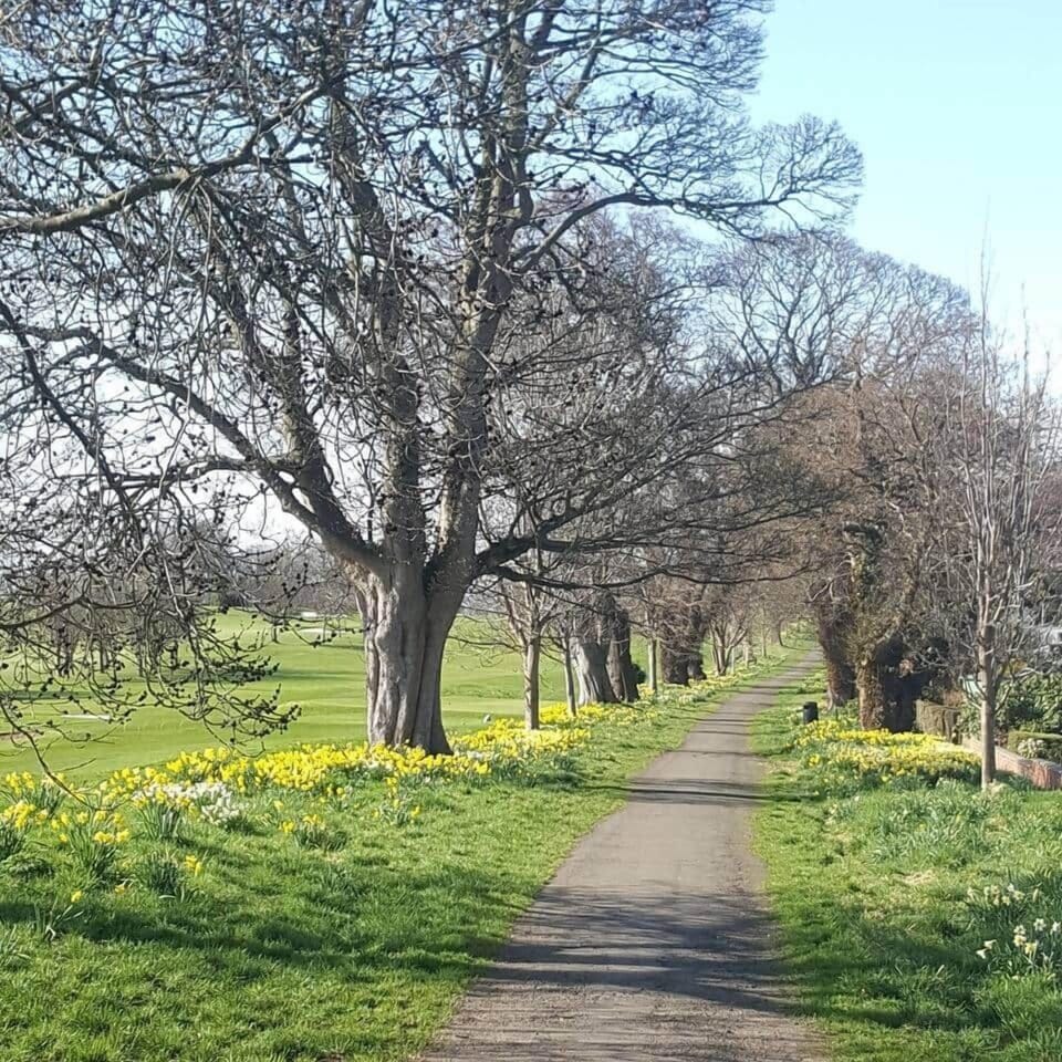 The Avenue, part if the Fife Coastal Path. It's particularly stunning in Spring when there are thousands of daffodils flowering.