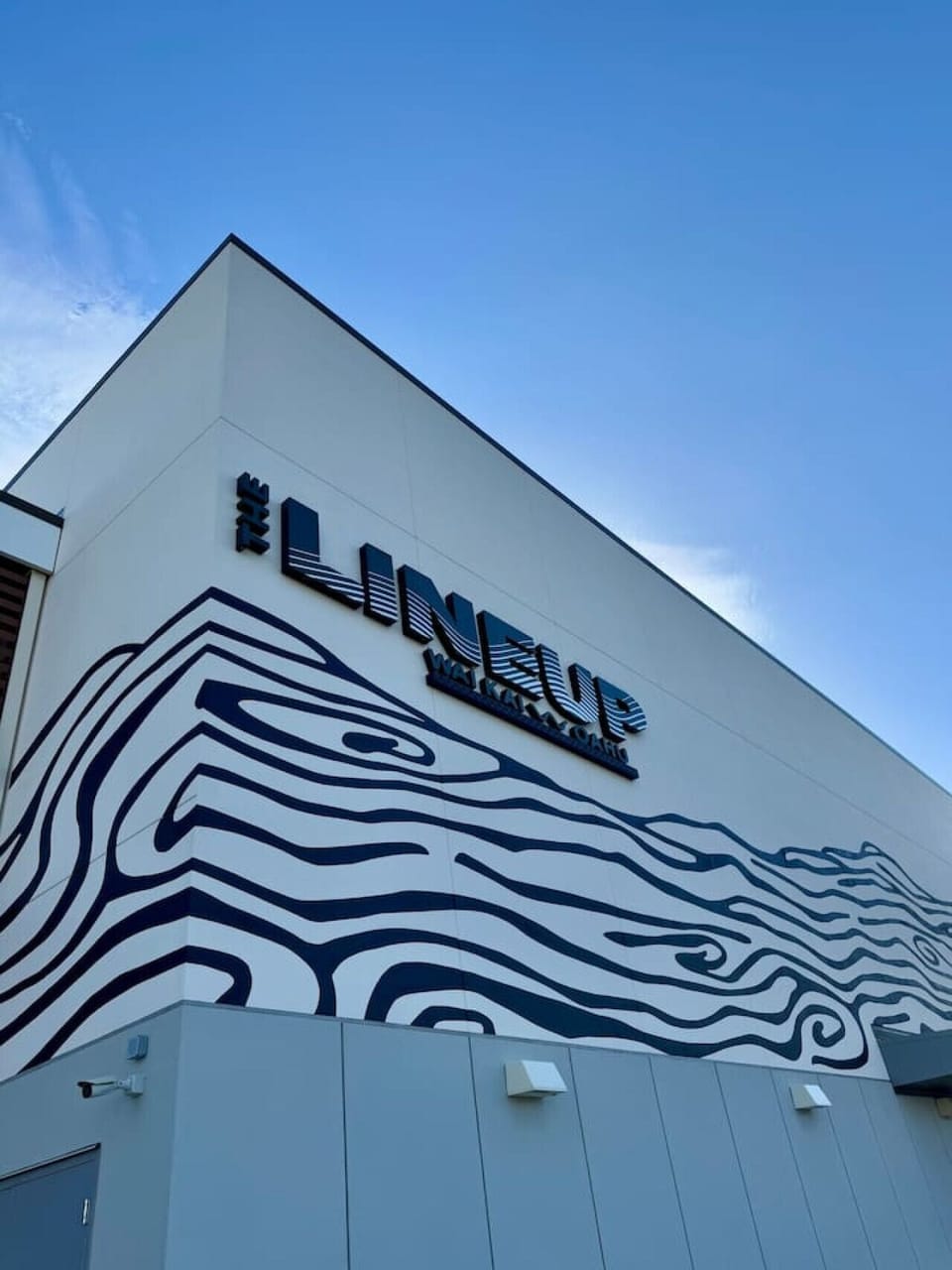 Make waves with the whole family! Adventure, art, and ocean fun await at The LineUp!