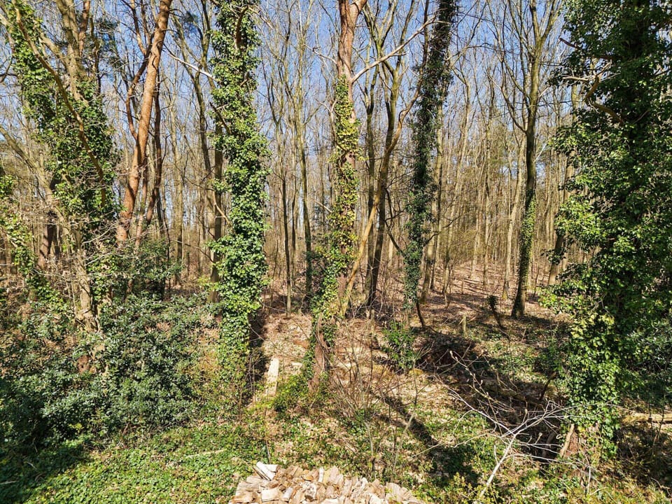 House | View from property