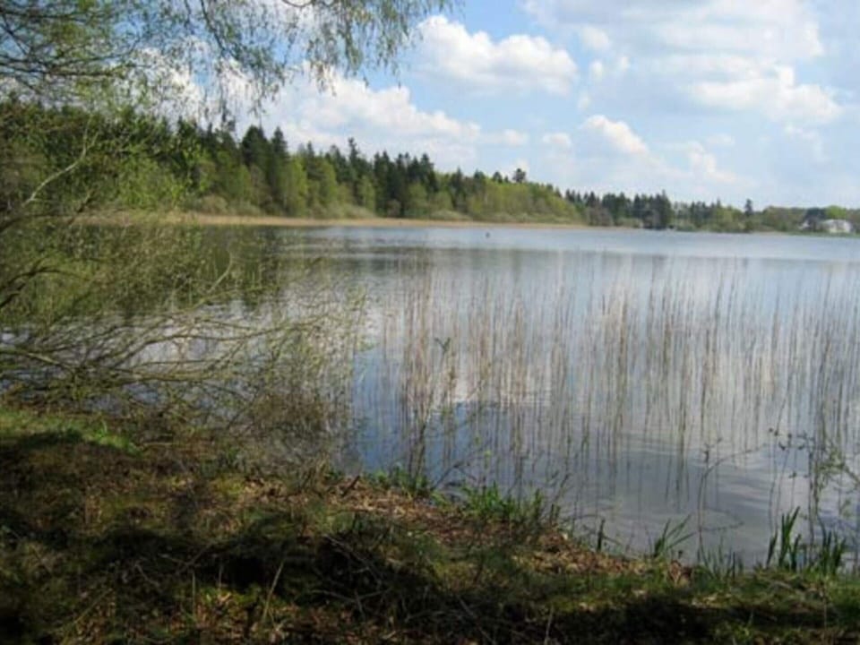 House | Water view