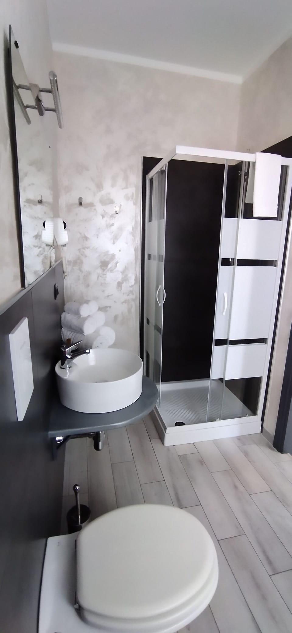 Shower, hair dryer, bidet, towels