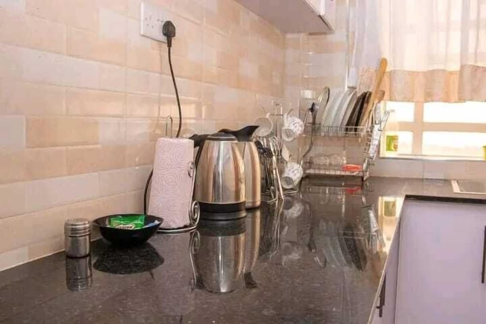 Classic Apartment, City View | Private kitchen | Fridge, microwave, cookware/dishes/utensils