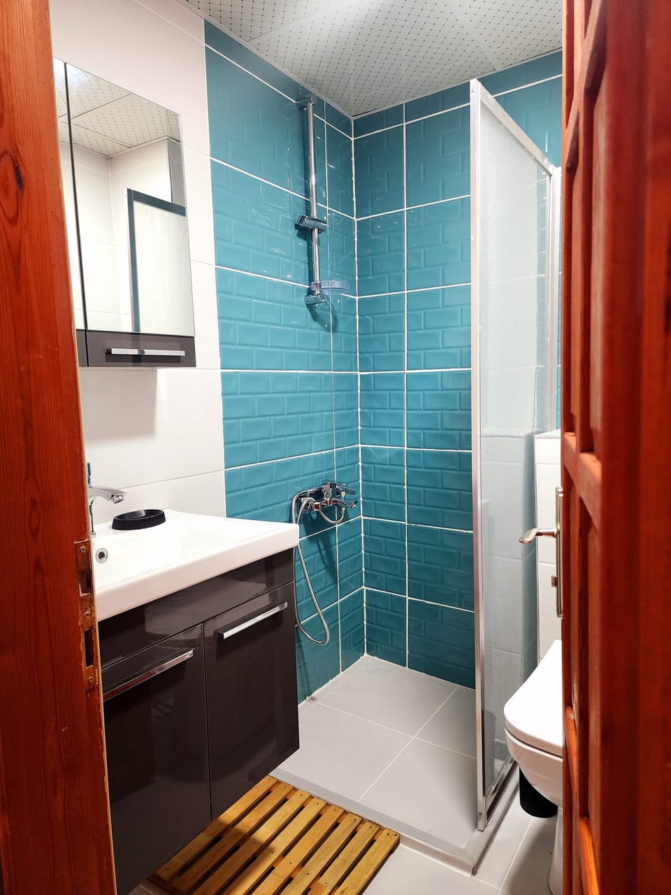Shower, hair dryer, slippers, bidet