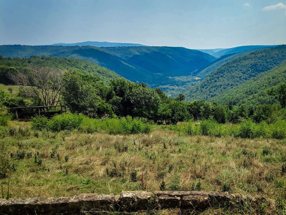 Mountainous Landforms, Green, Hill, Natural Environment, Leaf, Grass, Nature, Natural Landscape, Grassland, Vegetation