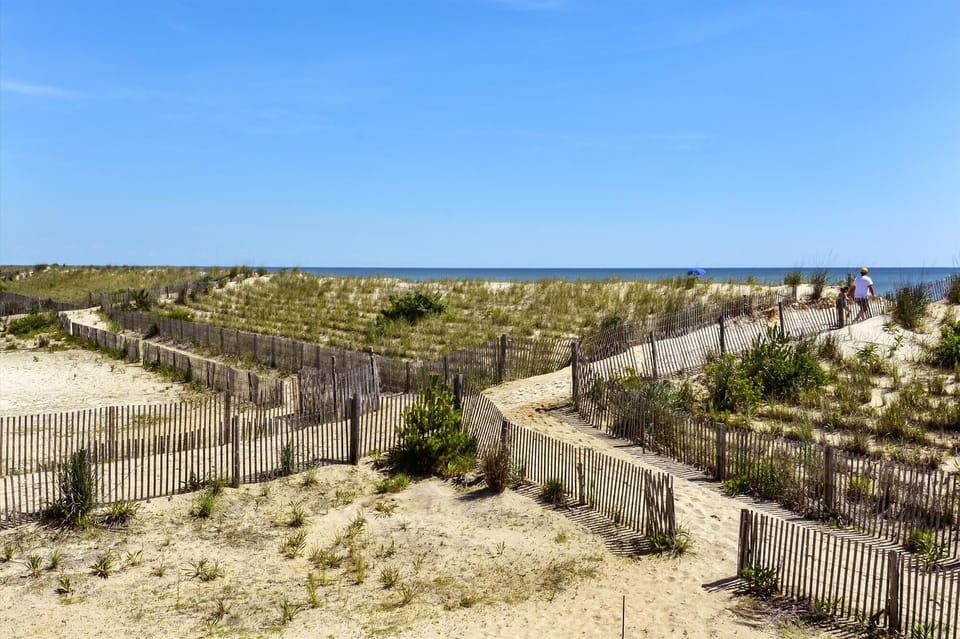 A sandy pathway winds through dune grasses toward the sparkling ocean beyond, with protective fencing lining the route to pristine shores.