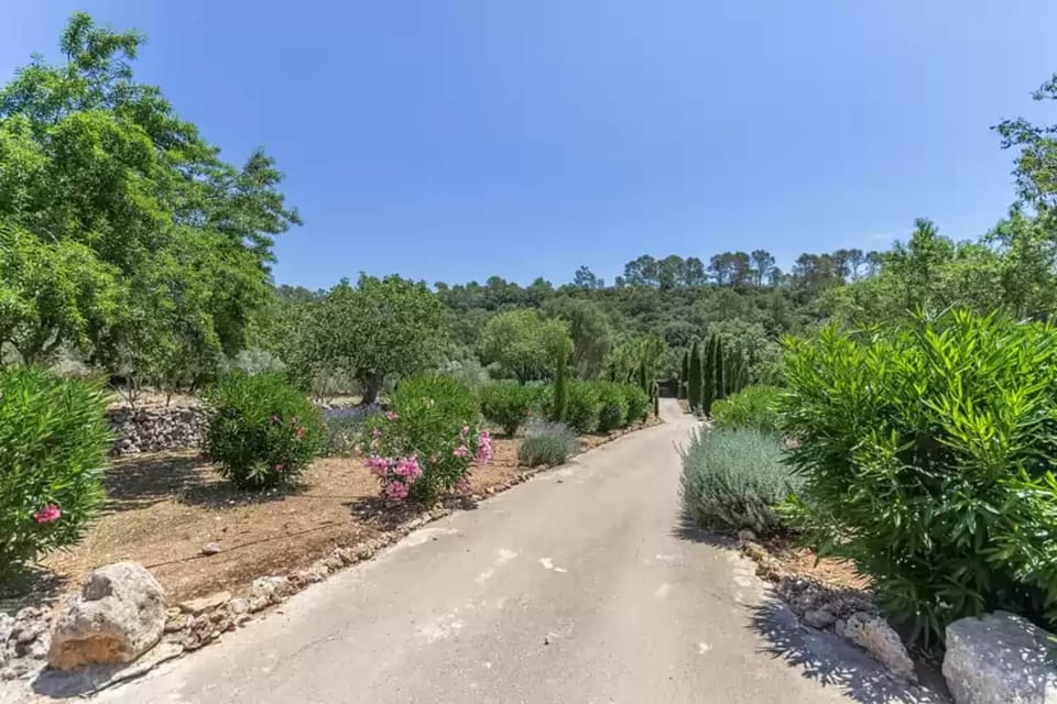 Immediate Surroundings [summer] (<1 km)