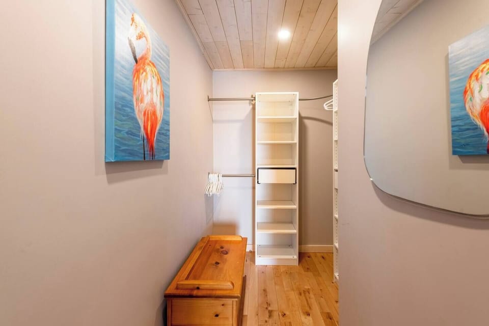 walk-in closet primary bedroom