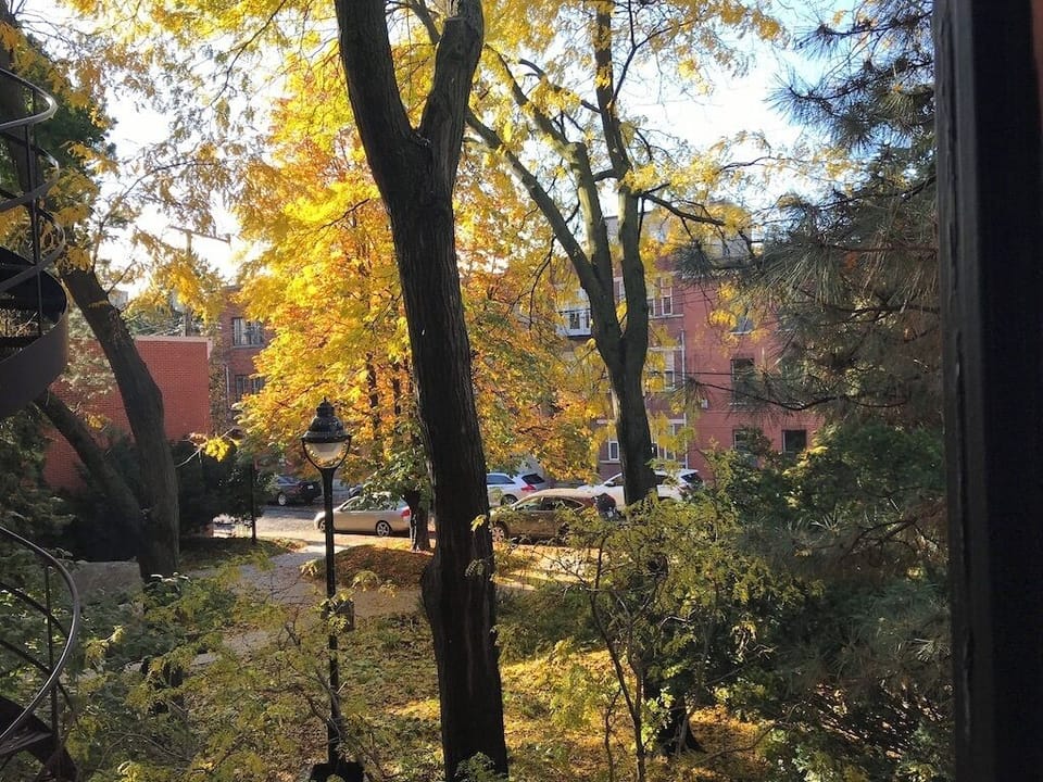 View West from 2nd, 3rd & 4th floor
