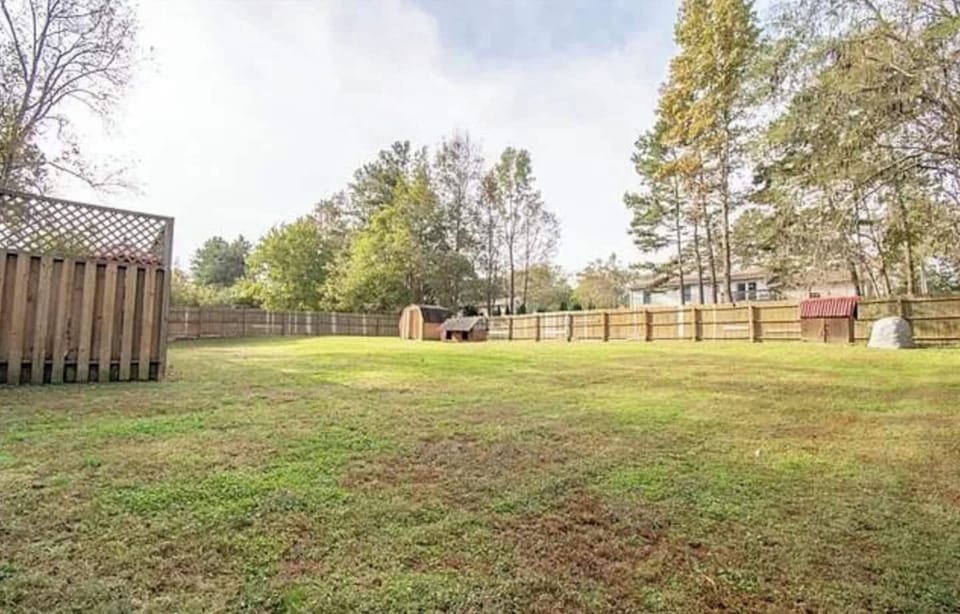 Back Yard