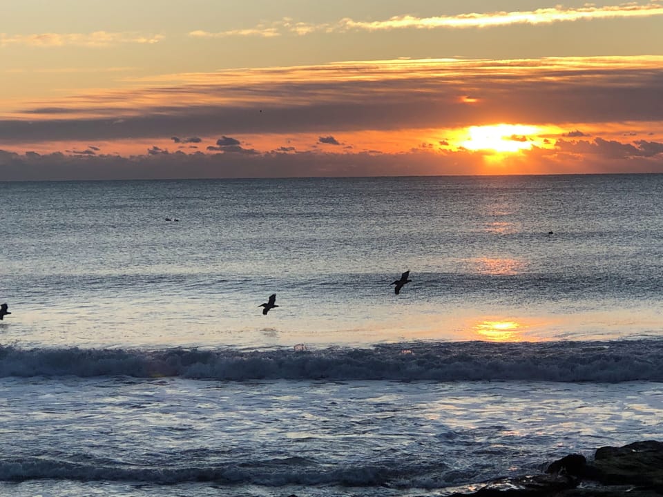 ANOTHER PLEASURE ISLAND SUNRISE