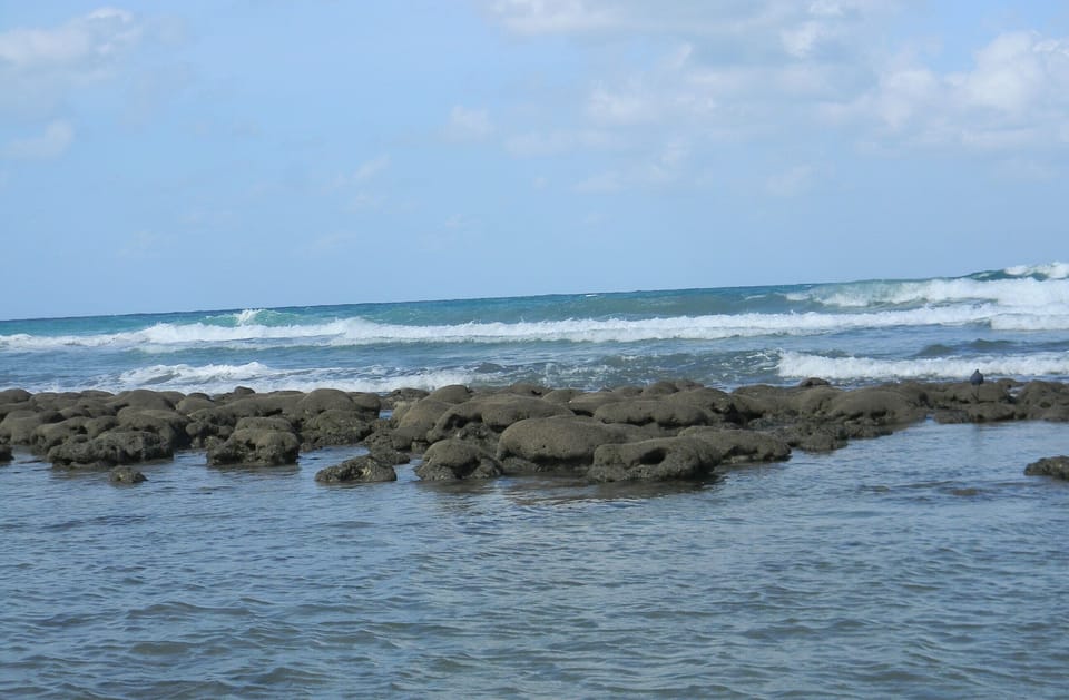 Bathtub Beach reef