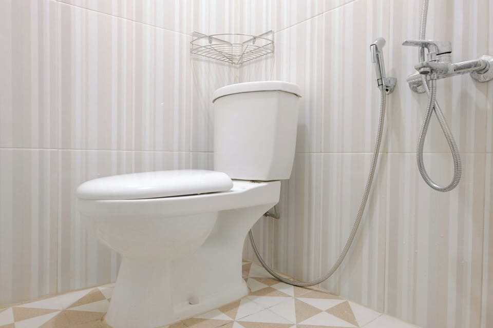 Deluxe Double Room | Bathroom | Shower, towels