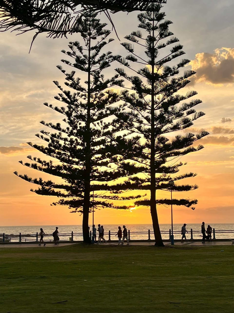 Coogee Beach