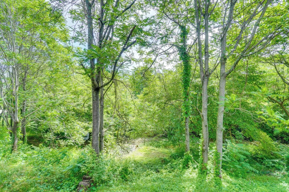 Creek Views