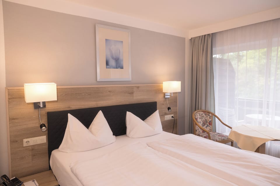 Basic Double Room, Balcony, Mountain View | In-room safe, desk, iron/ironing board, free WiFi