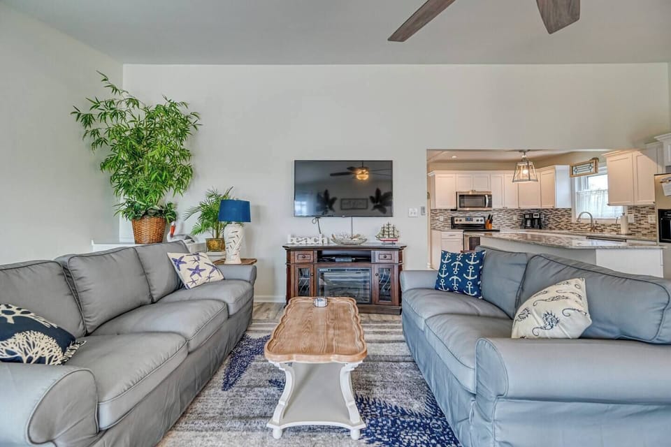 Comfortable sofas with Smart TV