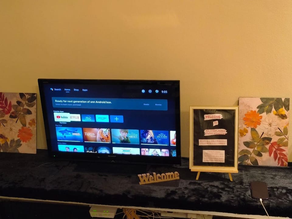 Television
