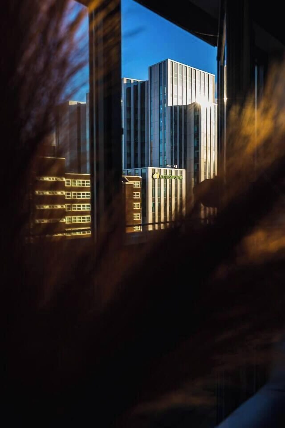 View from property