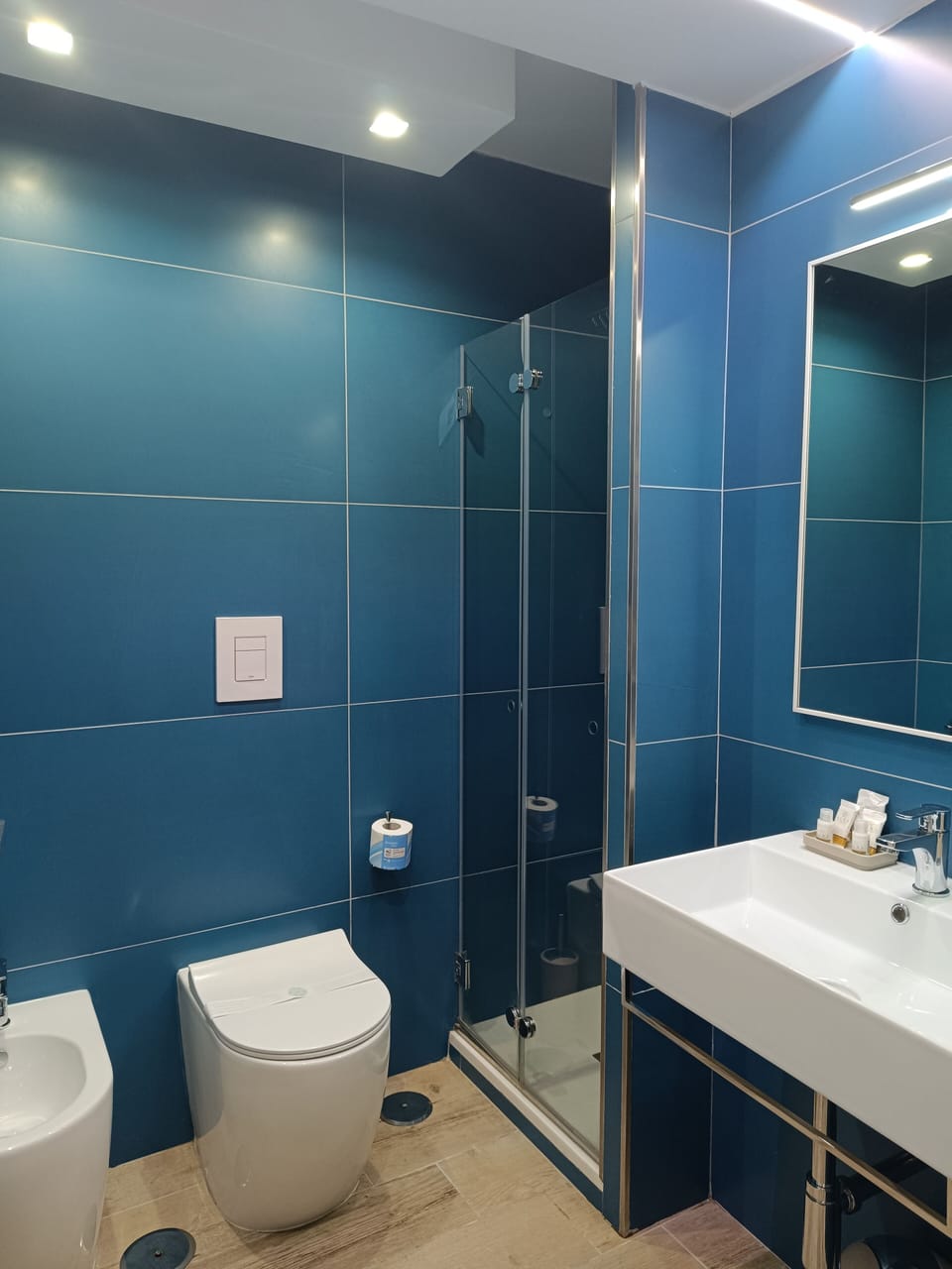 Shower, free toiletries, hair dryer, bidet