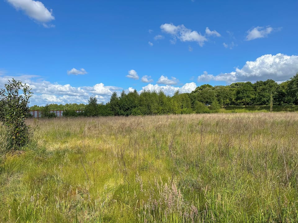 Immediate Surroundings [summer] (<1 km)