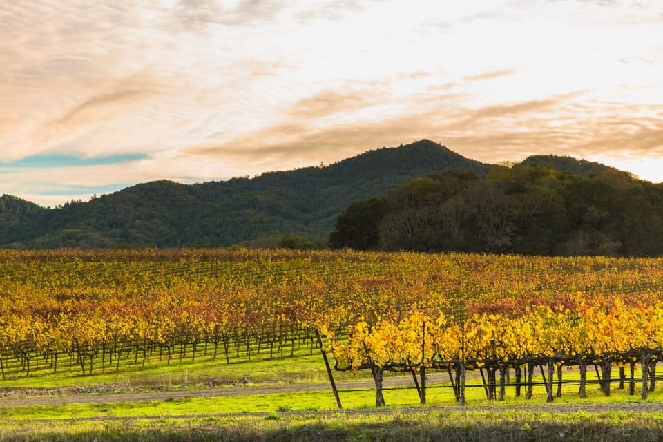 Winery