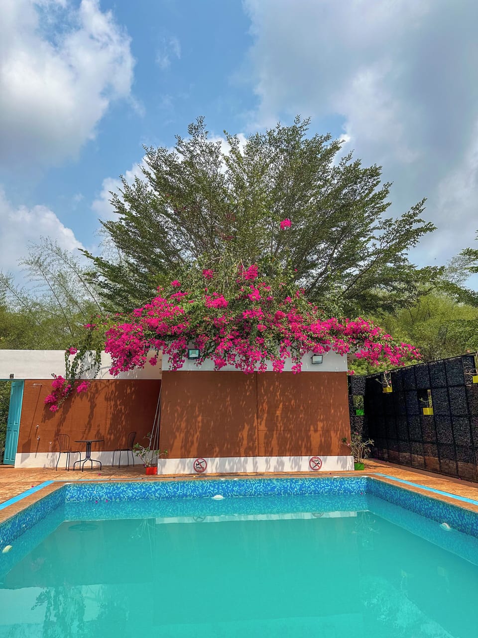 Outdoor pool