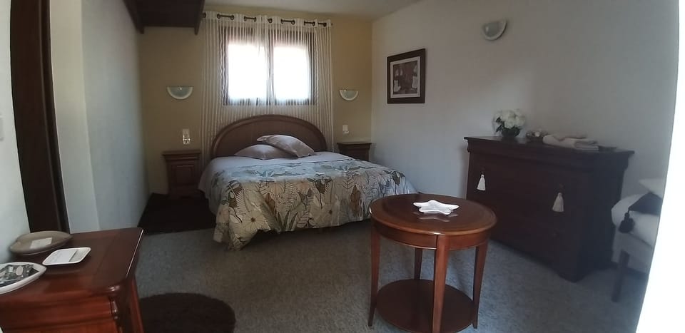 Standard Double or Twin Room, Garden View | Iron/ironing board, free WiFi