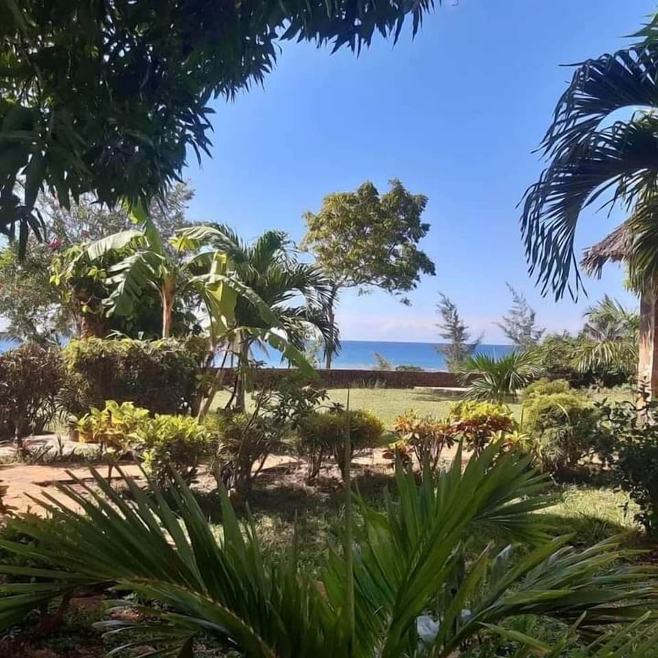 Family Quadruple Room, Balcony, Ocean View | Bathroom | Shower, rainfall showerhead, towels, soap
