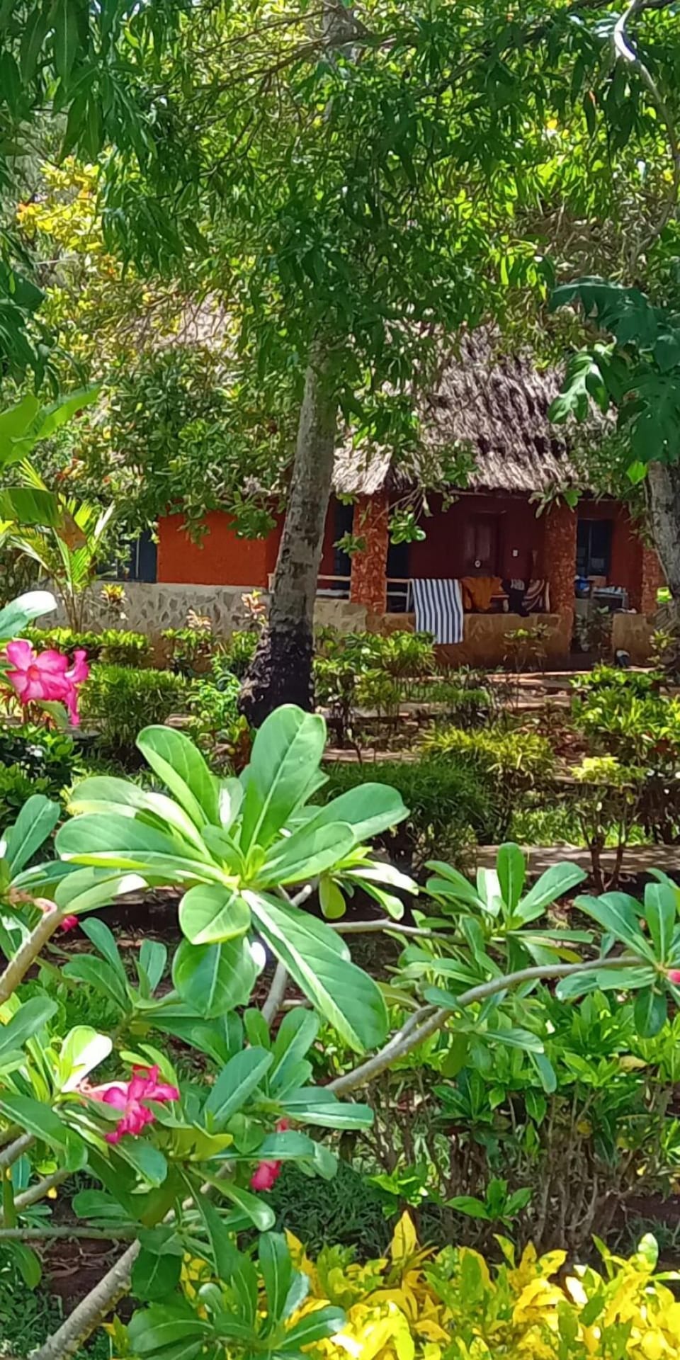 Classic Cabin, Balcony, Ocean View | Terrace/patio