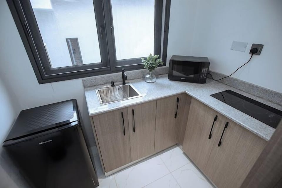 Family Apartment, Balcony, City View | Private kitchen | Fridge, microwave, oven, stovetop