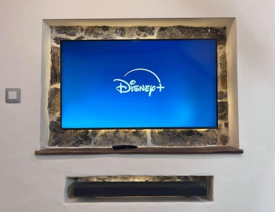 Television