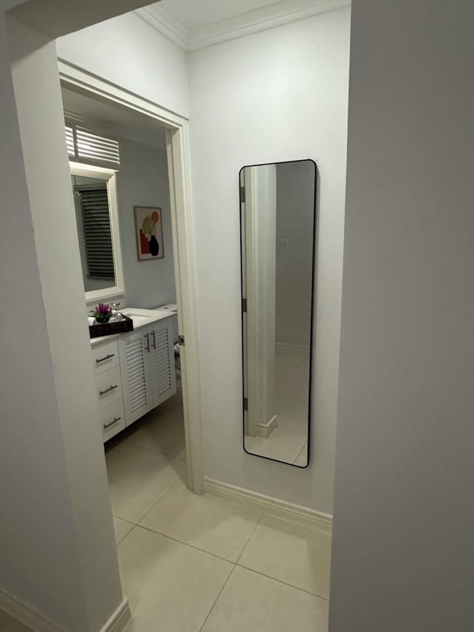 Guest Bathroom Full Length Mirror