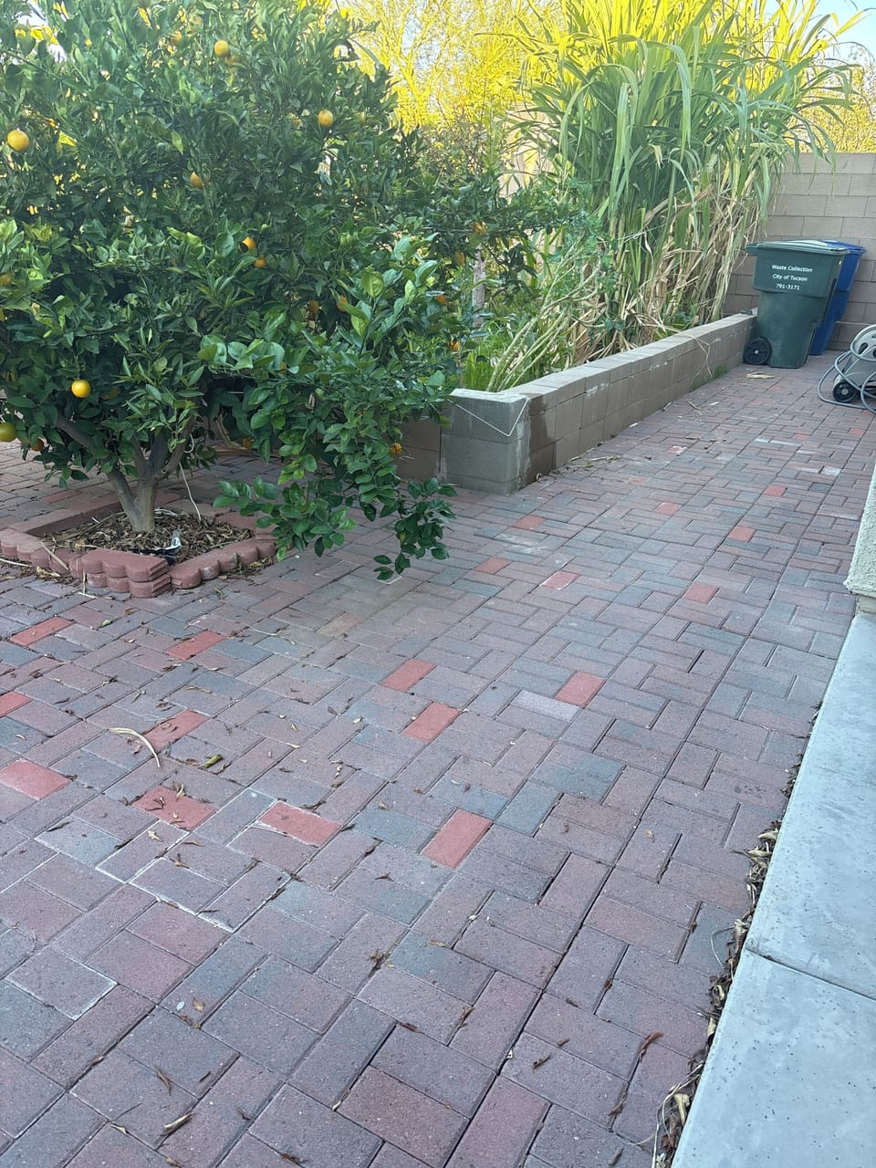 Property grounds