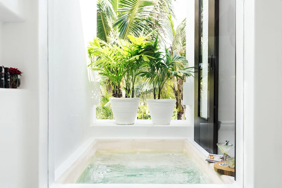 Suite (Master) | Bathroom | Eco-friendly toiletries, hair dryer, bathrobes, slippers
