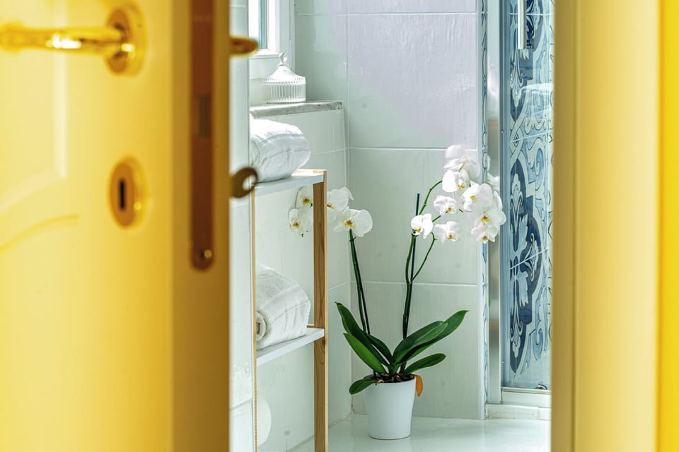 Deluxe Double Room, City View | Bathroom | Shower, hair dryer, bidet, towels