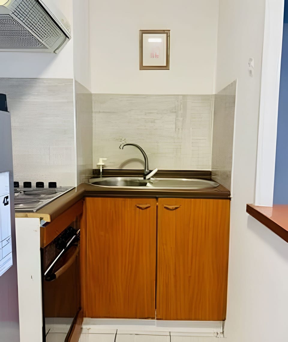 Basic Apartment | Private kitchen | Coffee/tea maker, griddle, cookware/dishes/utensils, paper towels