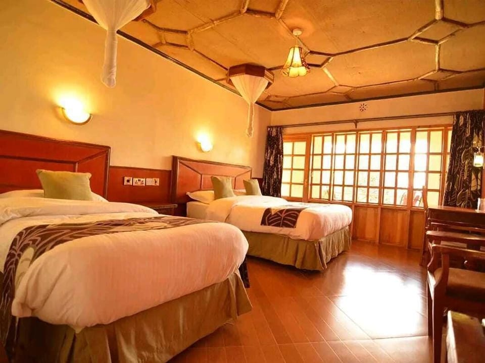 Deluxe Twin Room, Balcony, Park View | Desk, free WiFi