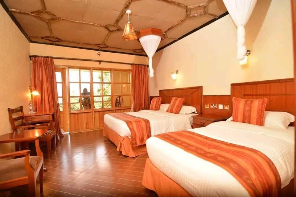 Deluxe Twin Room, Balcony, Park View | Desk, free WiFi