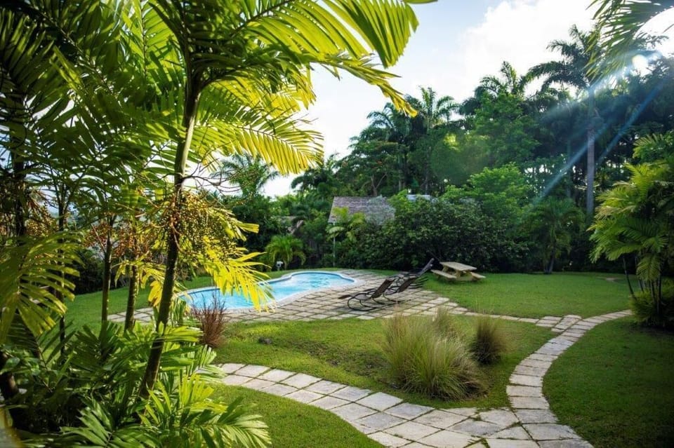 Outdoor pool, sun loungers
