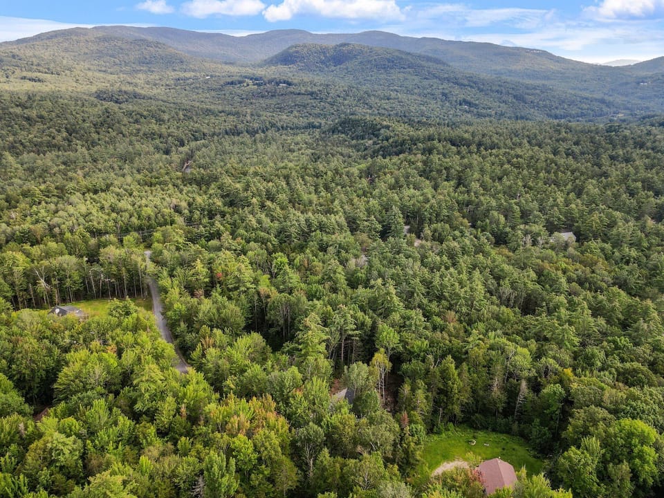 Surrounded by trees and nature. 