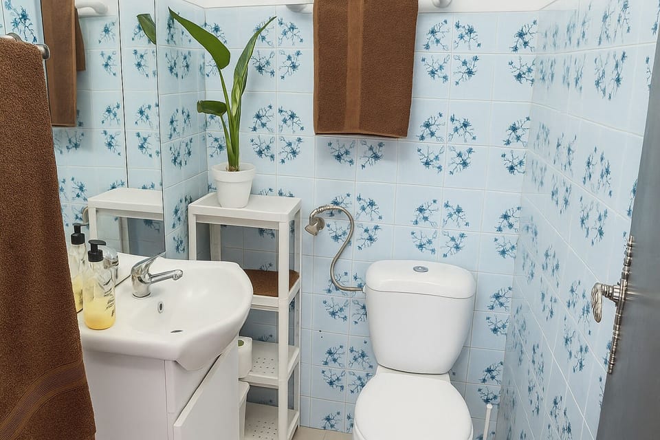 Shower, bidet, towels, soap