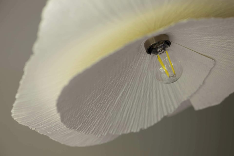 A ceiling light fixture with a wavy, petal-like lampshade and a visible exposed bulb.