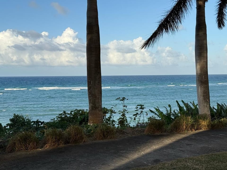 Sea view 